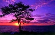 شارژ 8 میلیونی