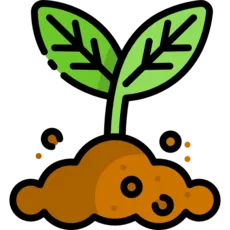 استاندارد - 