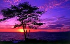 شارژ 8 میلیونی