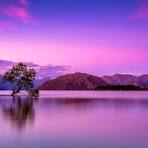 شارژ 8 میلیونی