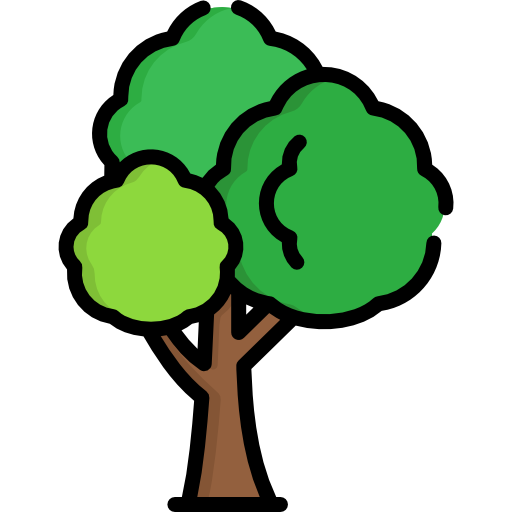 حرفه ای